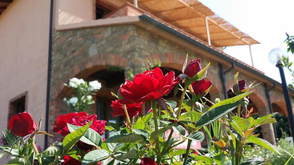 Agriturismo La Nocciolina Venturina Terme Exterior photo