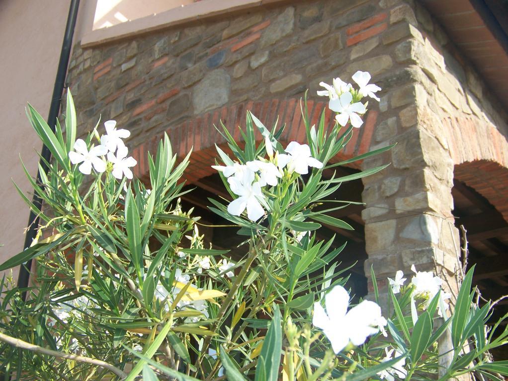 Agriturismo La Nocciolina Venturina Terme Exterior photo